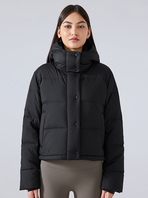 High Collar Chic Padded Jacket