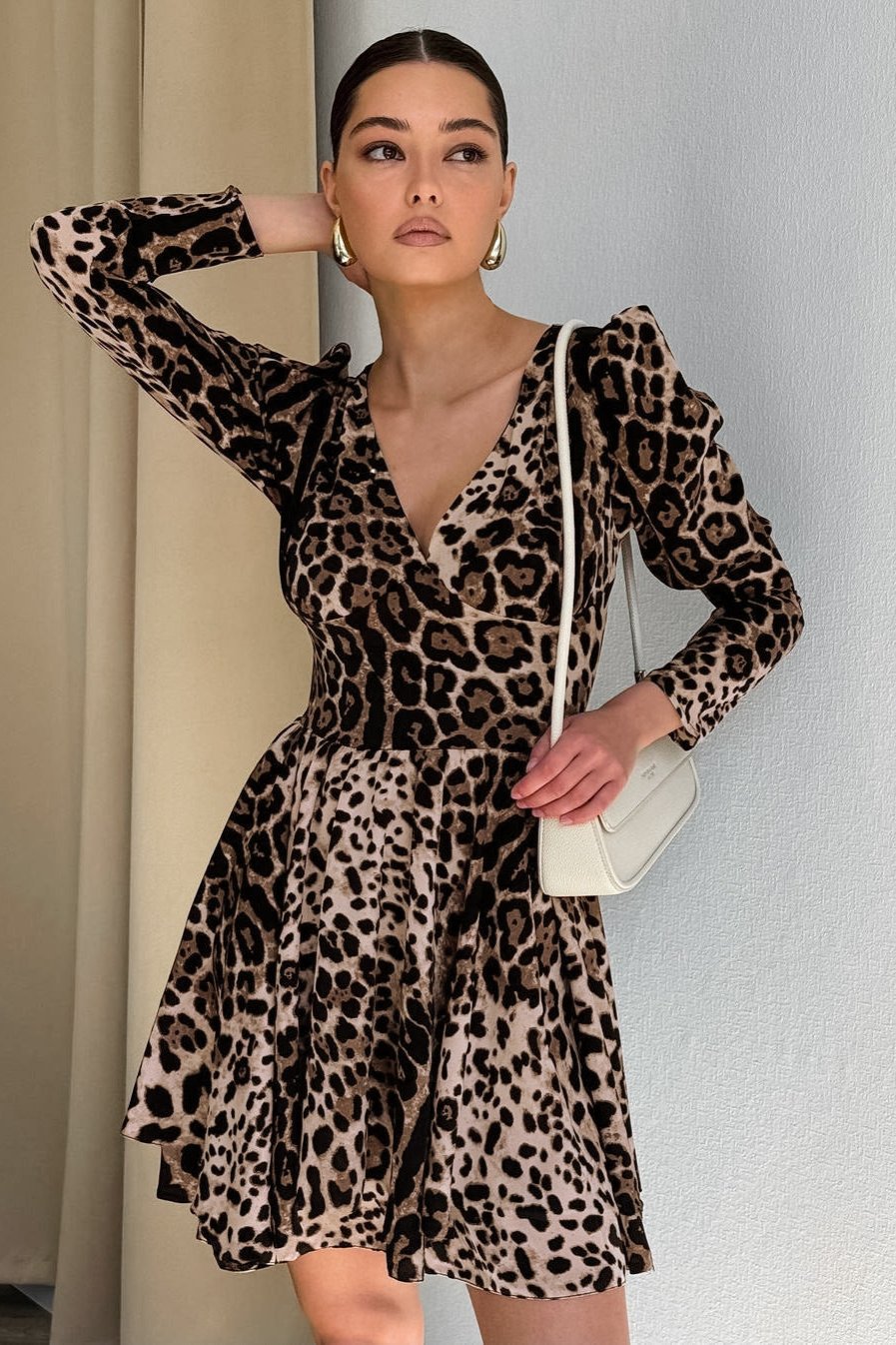 Sexy Leopard Print Long Sleeve V-Neck Mini Dress